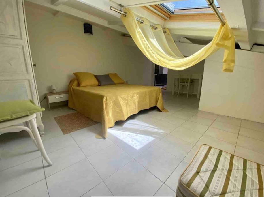 Superbe Atypique Centre Historique Apartment *
